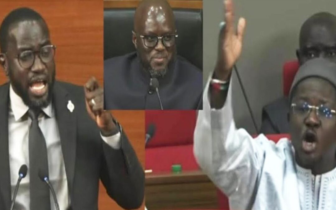 Assemblée nationale : Vifs échanges entre Abdoul Akhad Ndiaye et Cheikh Bara Ndiaye