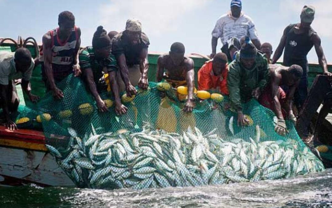 Dégel partiel des licences de pêche démersal côtière : L’inquiétude des pêcheurs artisanaux