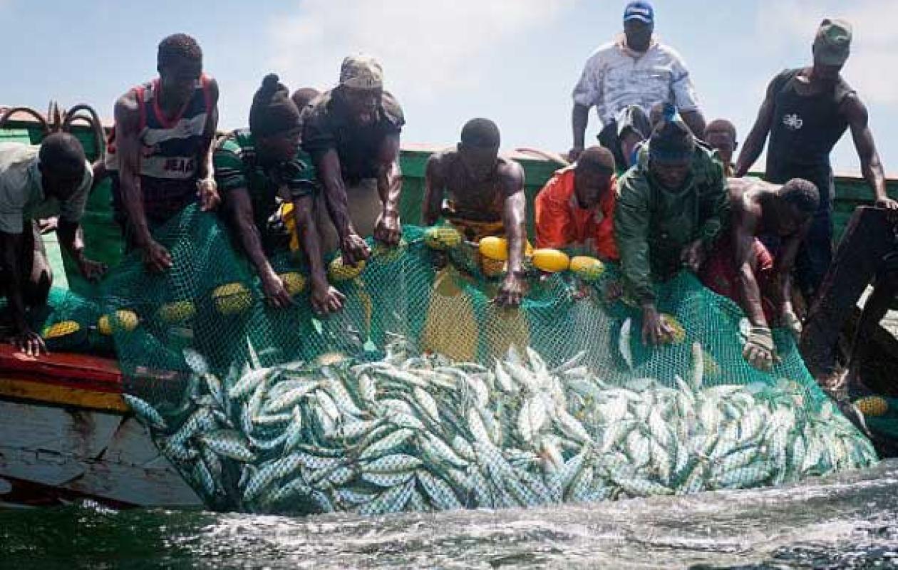 Dégel partiel des licences de pêche démersal côtière : L’inquiétude des pêcheurs artisanaux