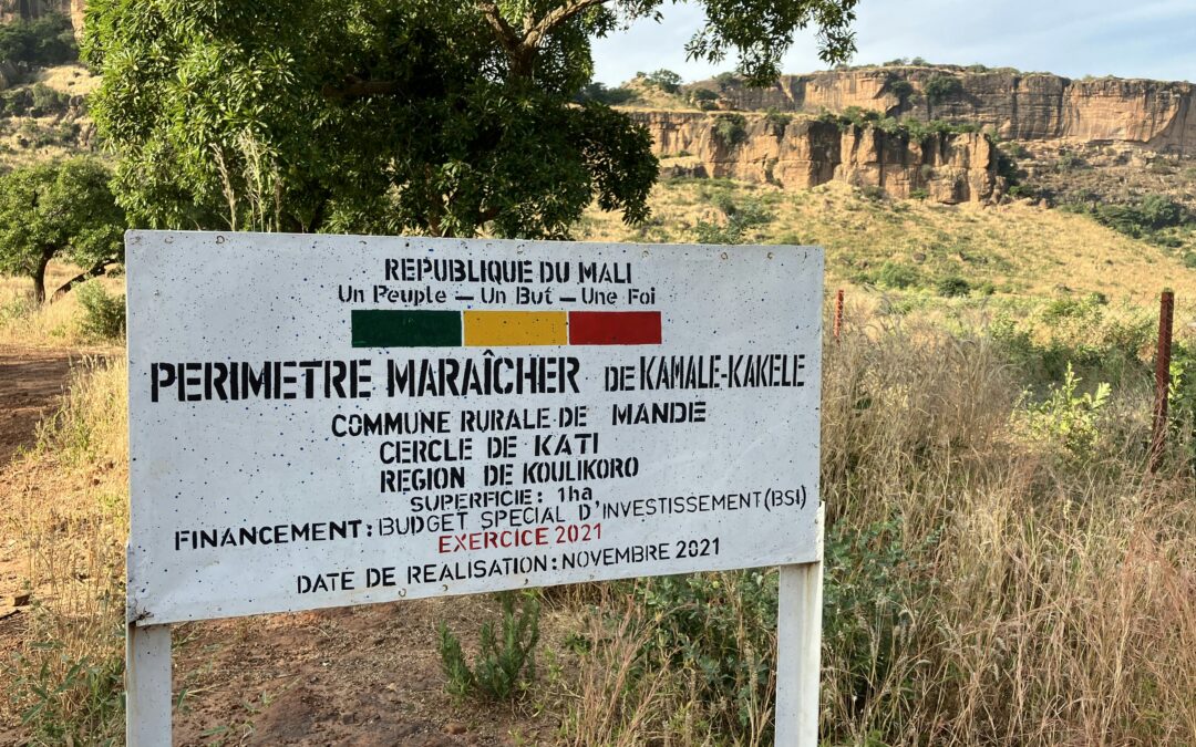 La Situation Actuelle au Mali : Un Etat en mutation.