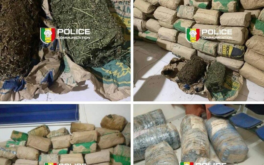 Rufisque/ Trafic de drogue par pirogue : près de 188 kg de chanvre indien saisis sur la plage, trois individus arrêtés