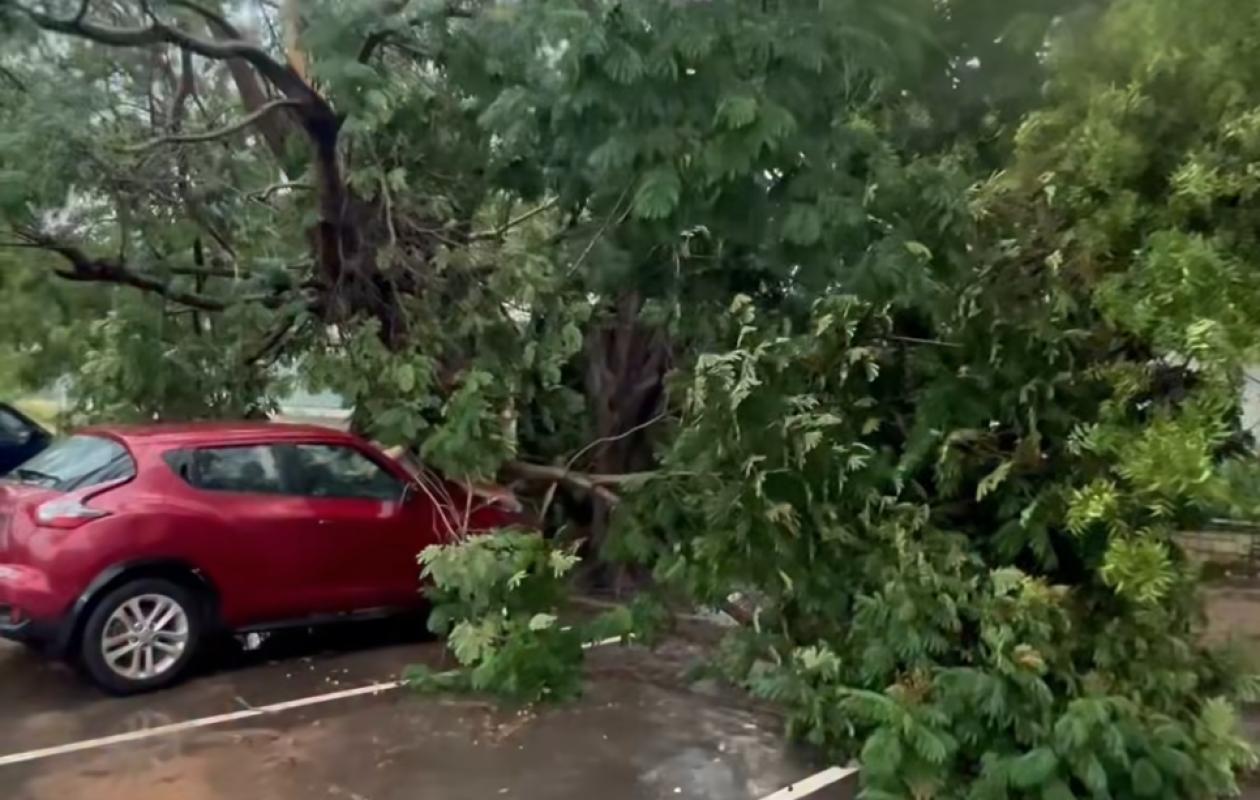 Fortes pluies à Dakar : plusieurs arbres déracinés, d&rsquo;importants dégâts matériels signalés à l&rsquo;UCAD