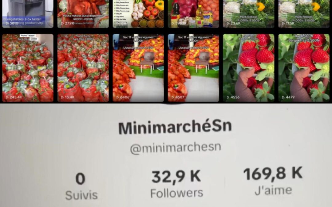 Arnaque à grande échelle sur TikTok : la propriétaire du mini-marché « Sn » arrêtée par la DSC